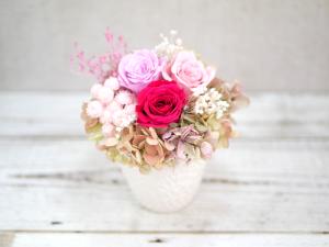 IMG_3572.JPG